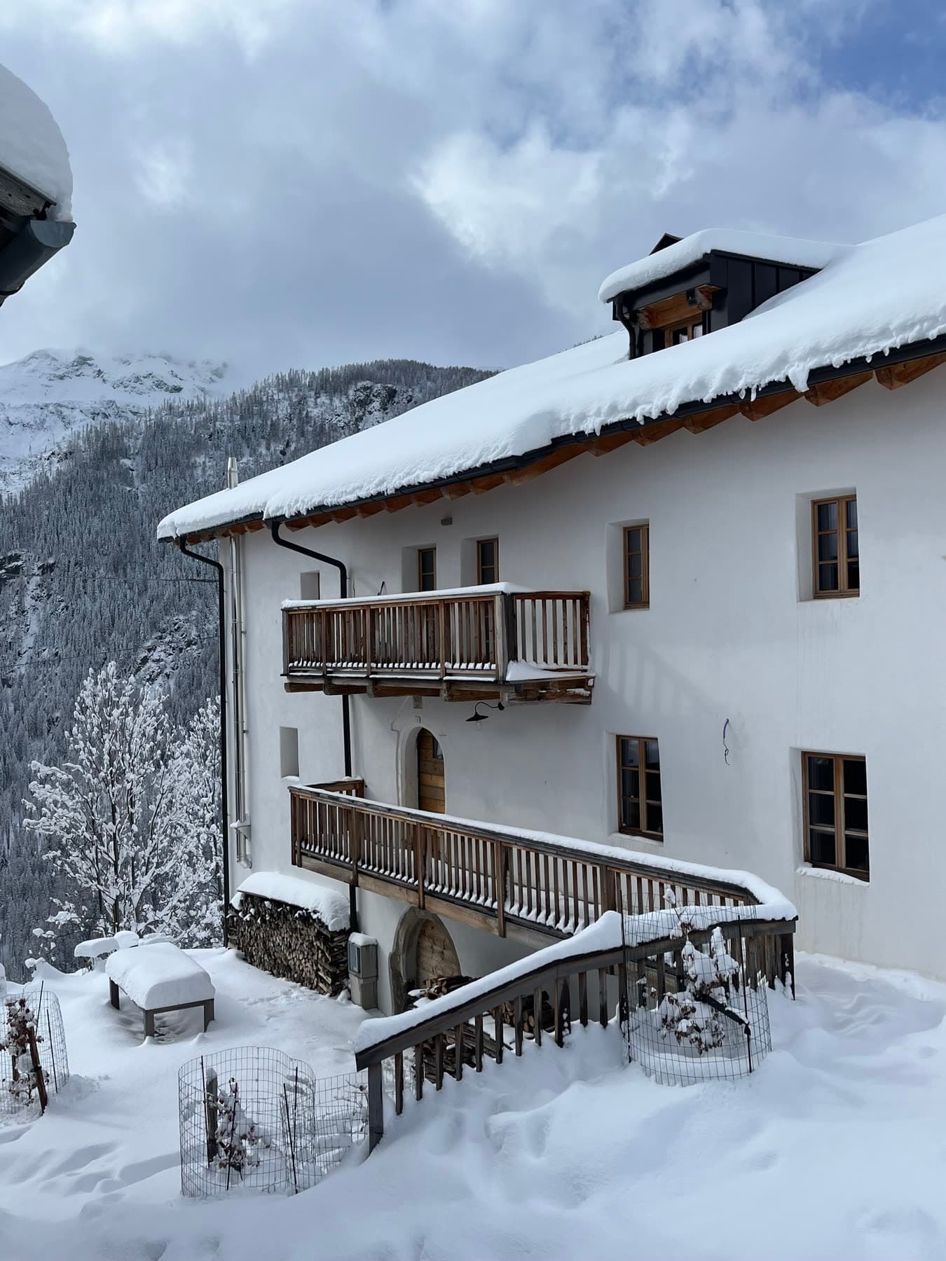 From the side, in snow